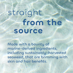 Extrait de café et gommage Seaweed Bath Co. Detox, énergie sensorielle.