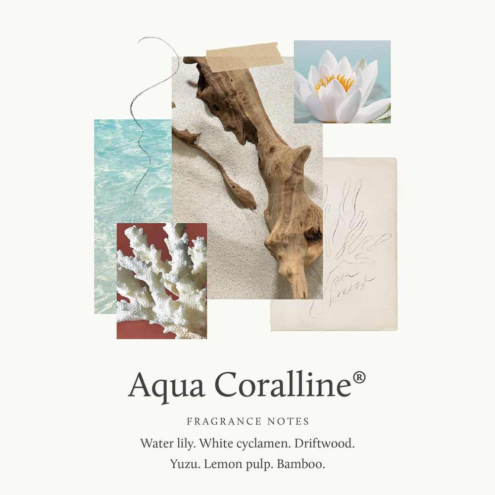 Texture riche de la crème Thymes Aqua Coralline, idéale pour une hydratation quotidienne.