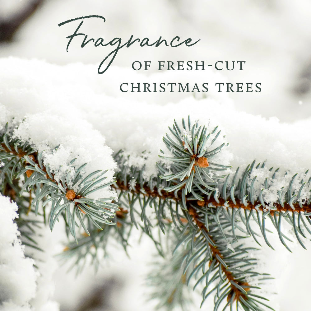Thymes Frasier Fir - utilisation quotidienne, parfum hivernal et peau douce.