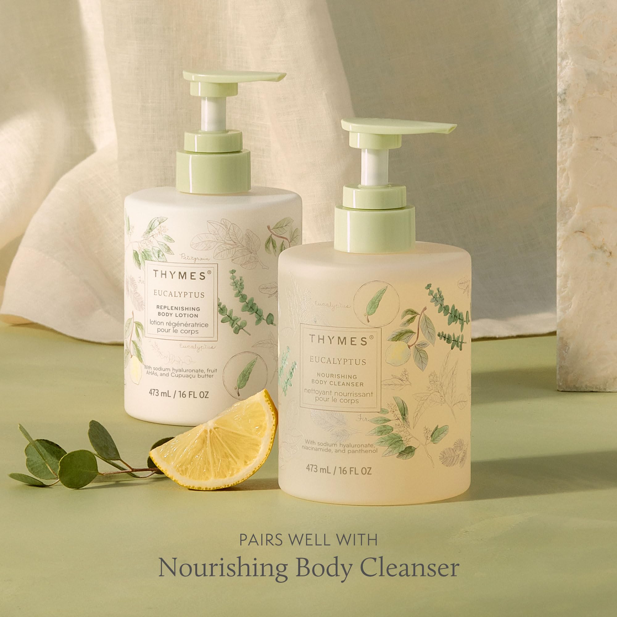 Parfum frais eucalyptus et agrumes sur Thymes.