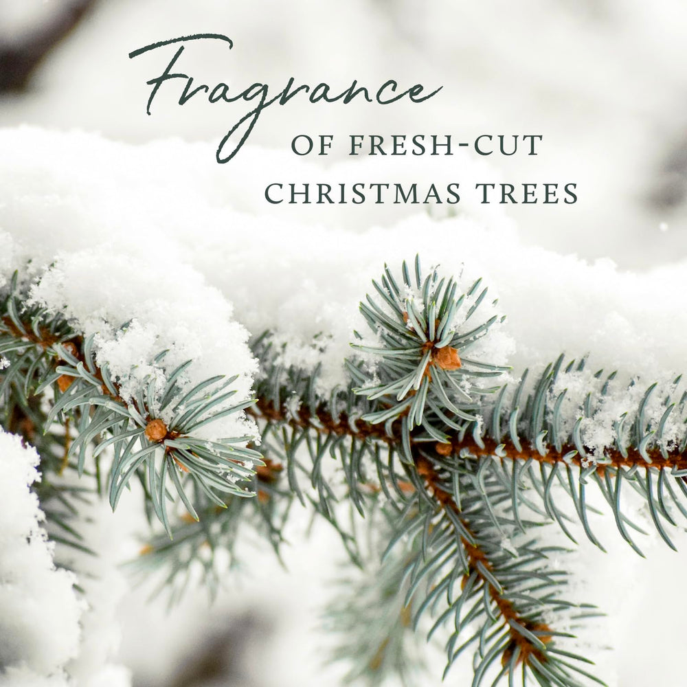 Lotion mains Thymes Frasier Fir, senteur rafraîchissante pour une atmosphère apaisante.