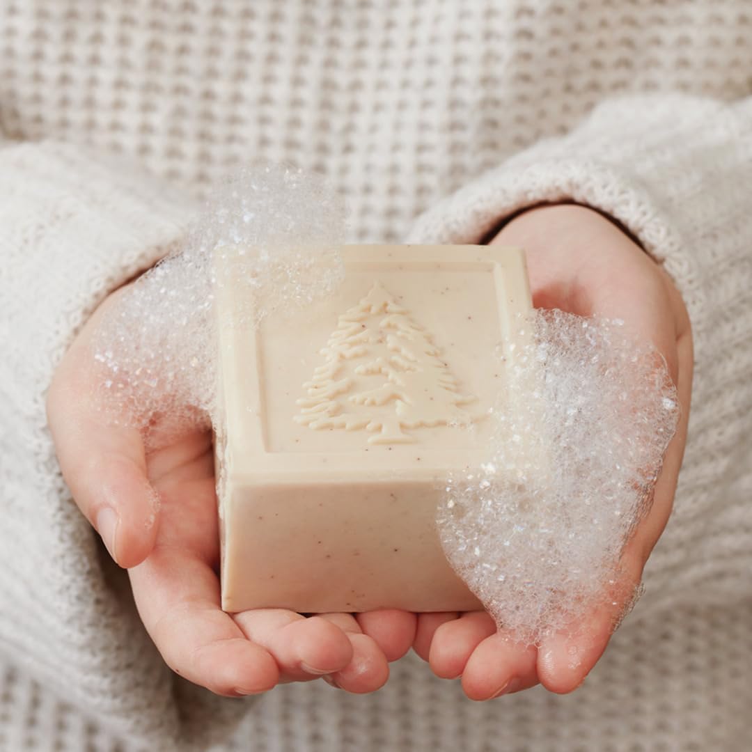 Savon Frasier Fir Thymes barre, mousse crèmeuse et exfoliation légère