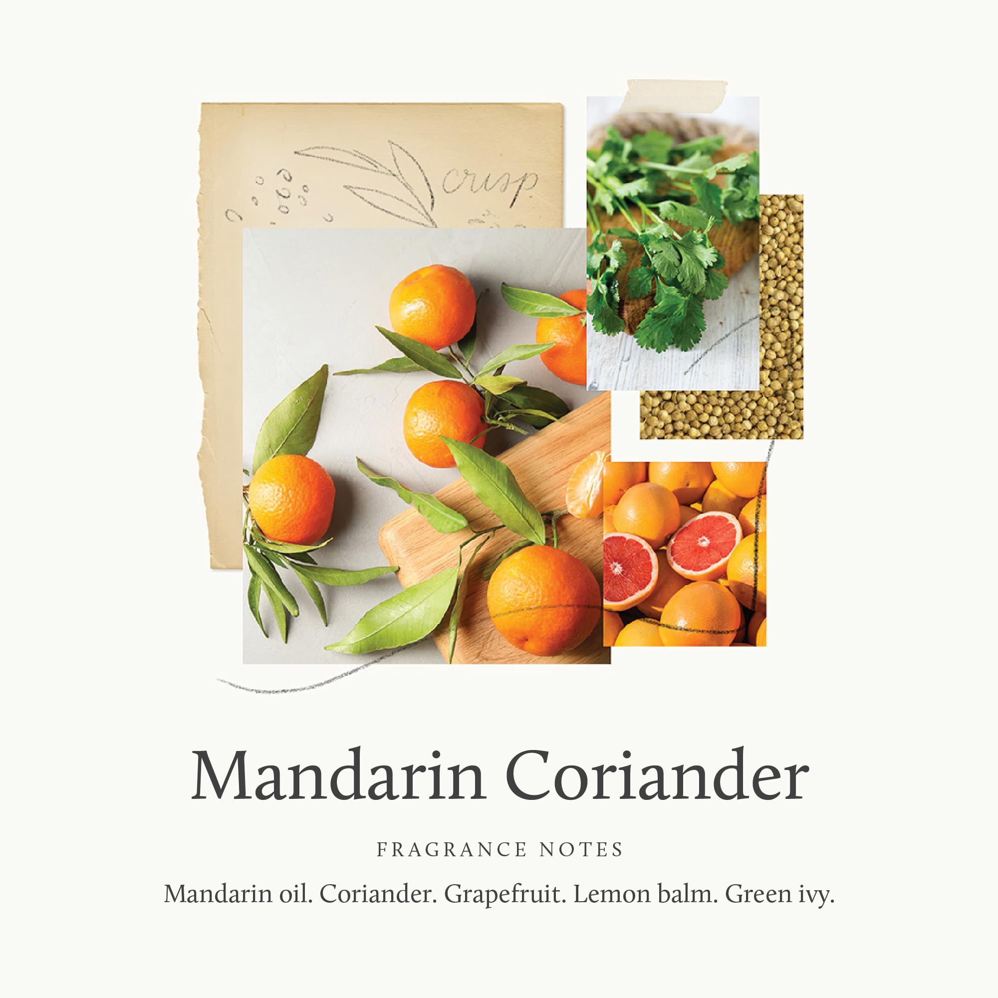 Thymes Savon Mains Mandarin Coriandre — étiquette colorée qui évoque la nature.