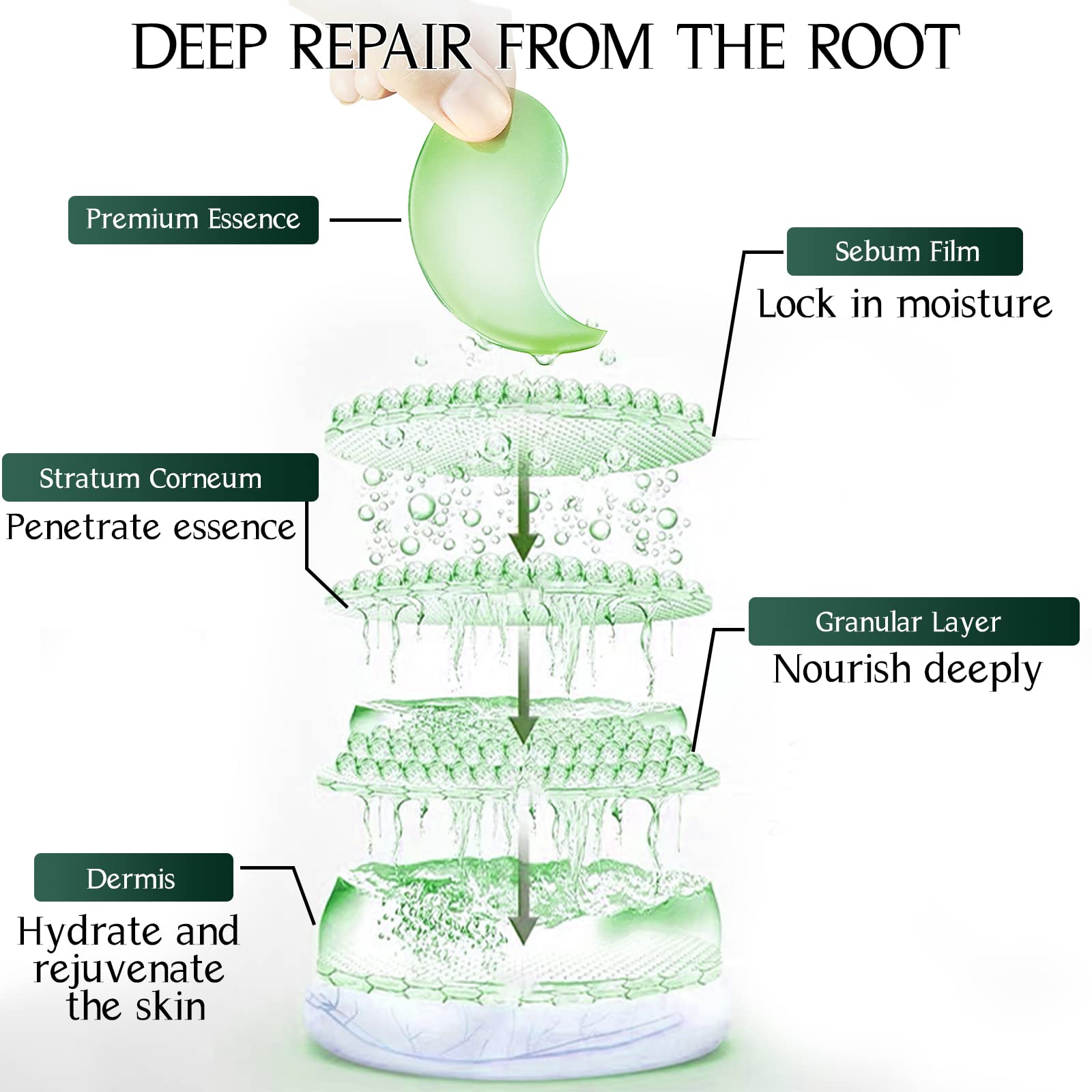 Tiepetly ingredient vert hyaluronique et collagene, soin hydratant.