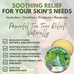 TN NATURALS baume huile arbre à thé – application facile sur peau