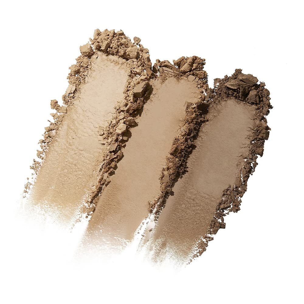 Échantillons de teintes Pale Beige Neutral Cool Brown et Cool Brown