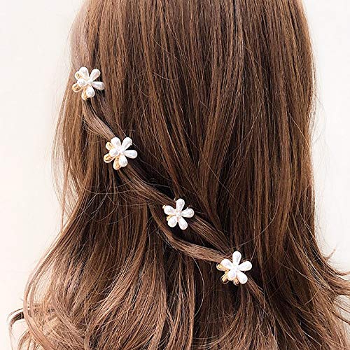 Toolzeen barrettes cheveux pack 10 pièces option de cadeau pratique.