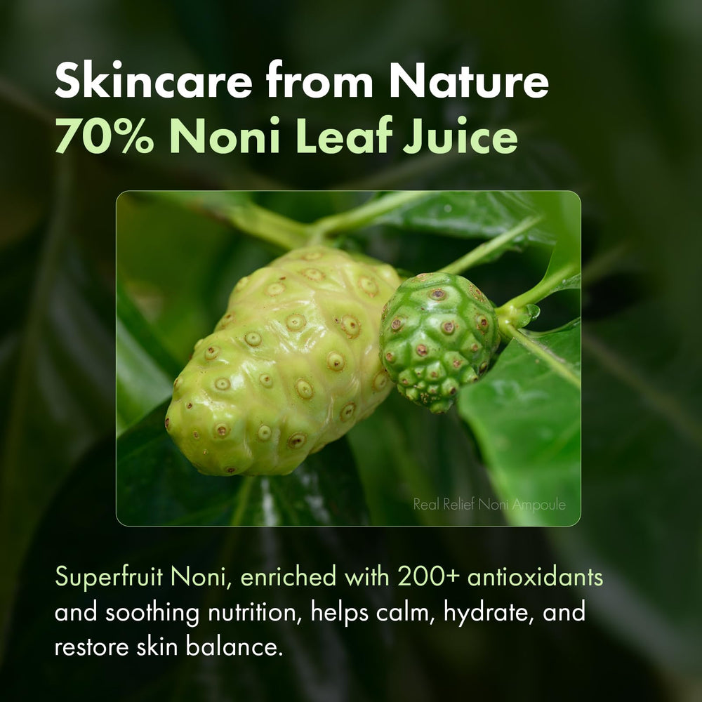 Real Relief Noni Ampoule – Jus de Noni feuille et nutriments essentiels