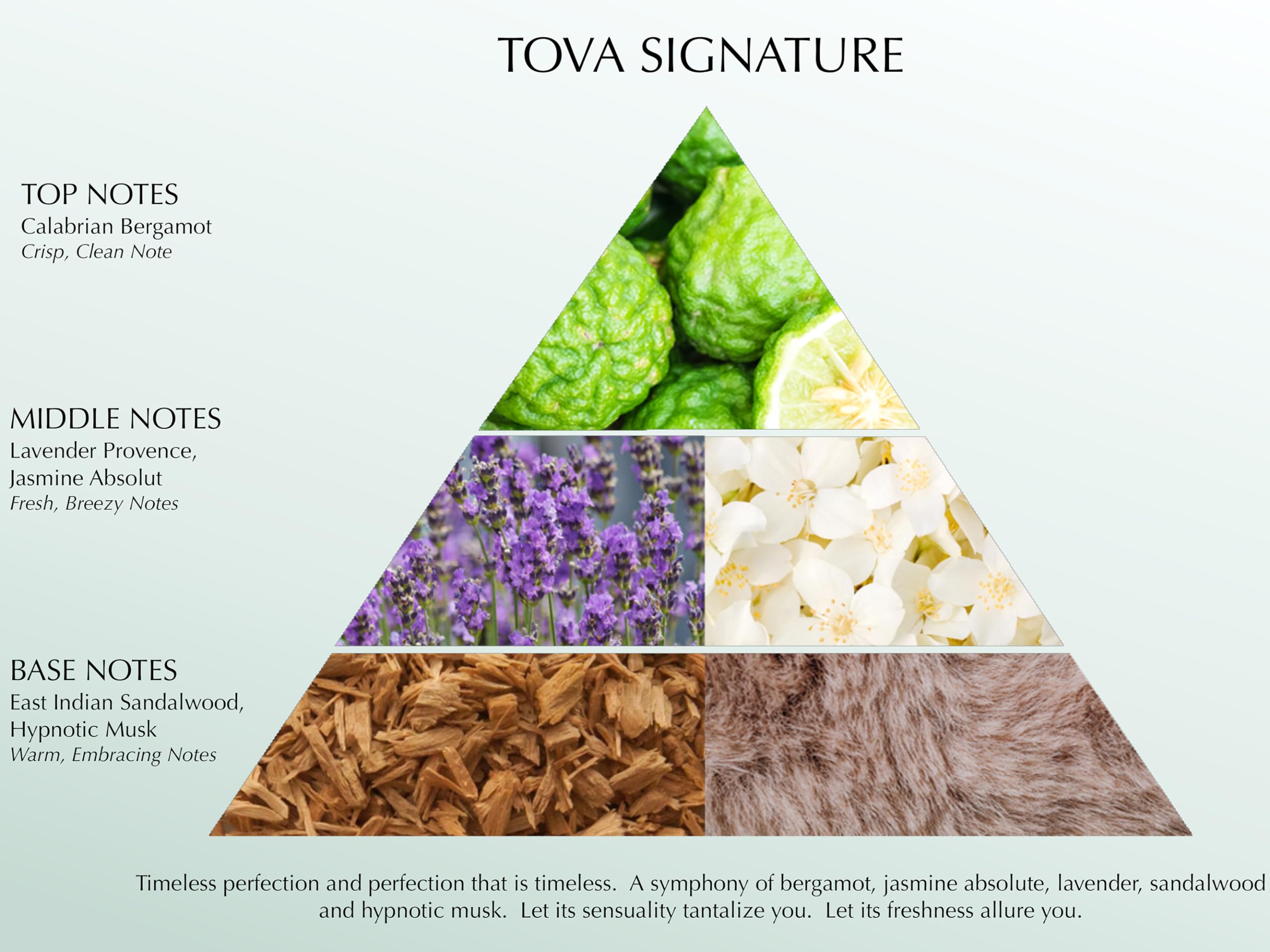 Tova-lotion-corps-velours-pompe, soin sans cruauté pour peau hydratée.