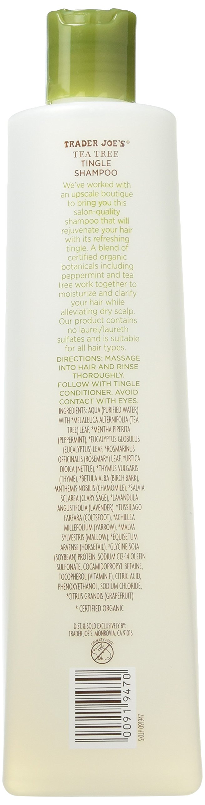 Trader Joe's Shampoing Arbre à Thé et Menthe — ingrédients botaniques certifiés bio visibles.