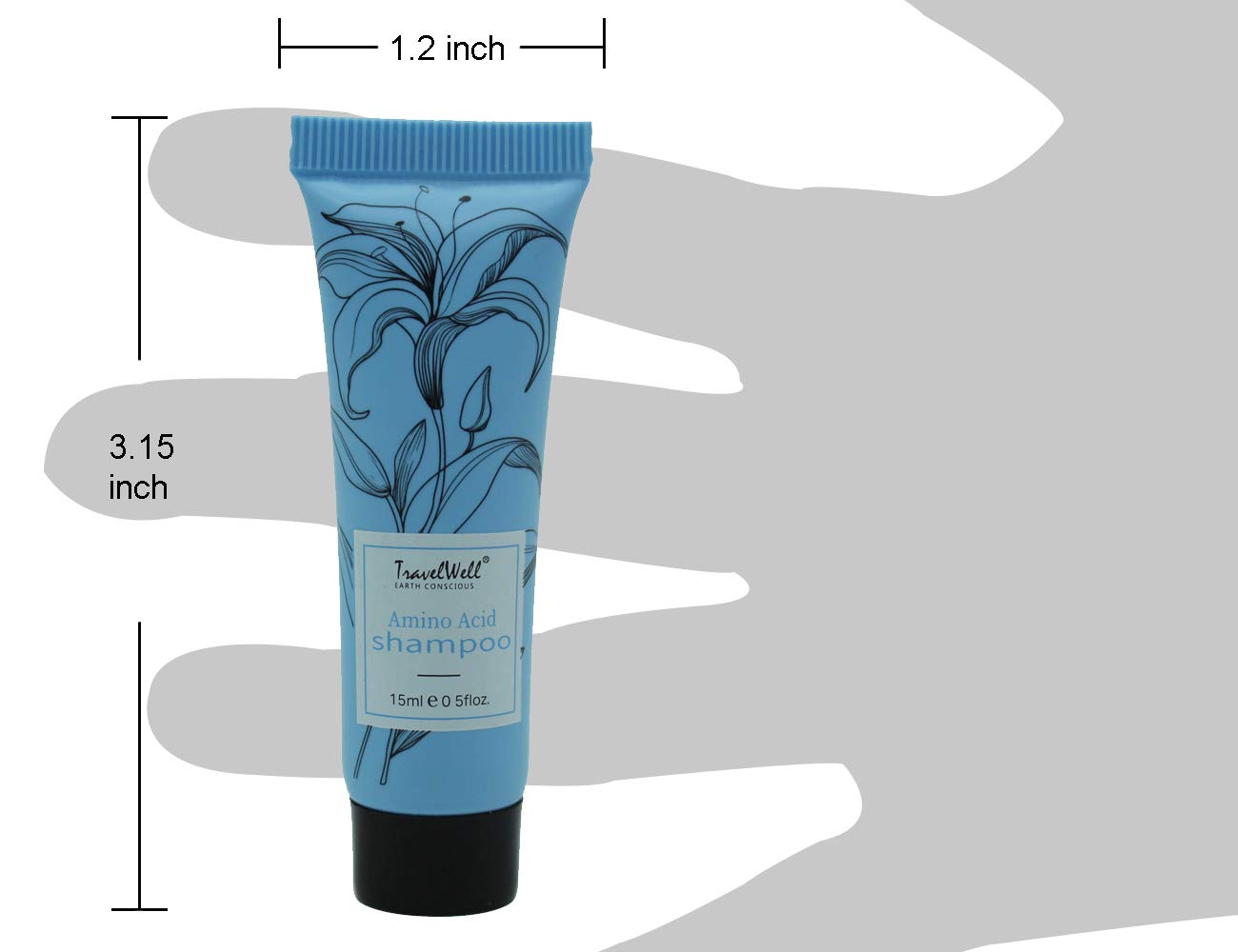 TravelWell Kit dentaire mini, hygiène de voyage pratique pour les clients