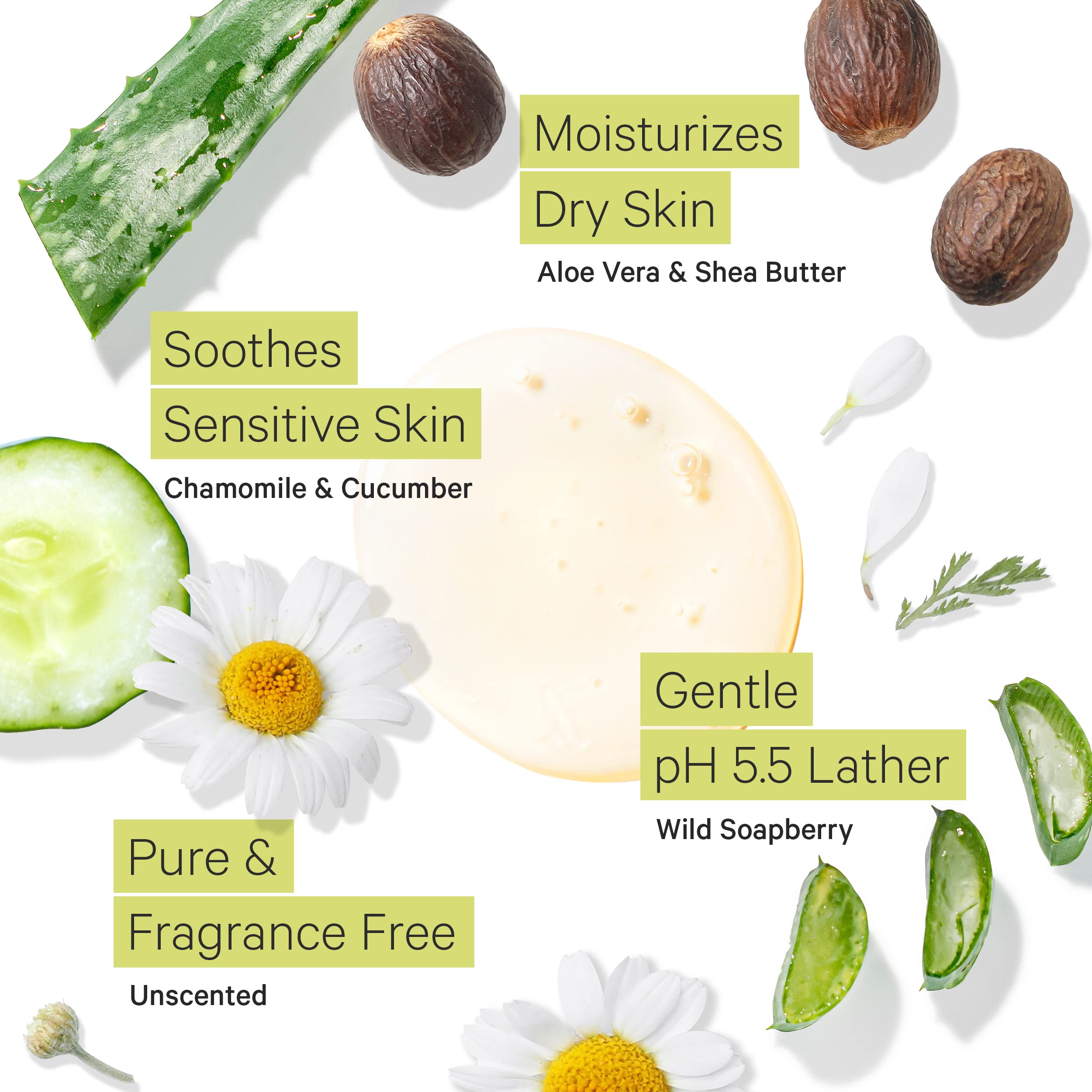 Tree to Tub aloe bio, hydratation légère après le lavage.