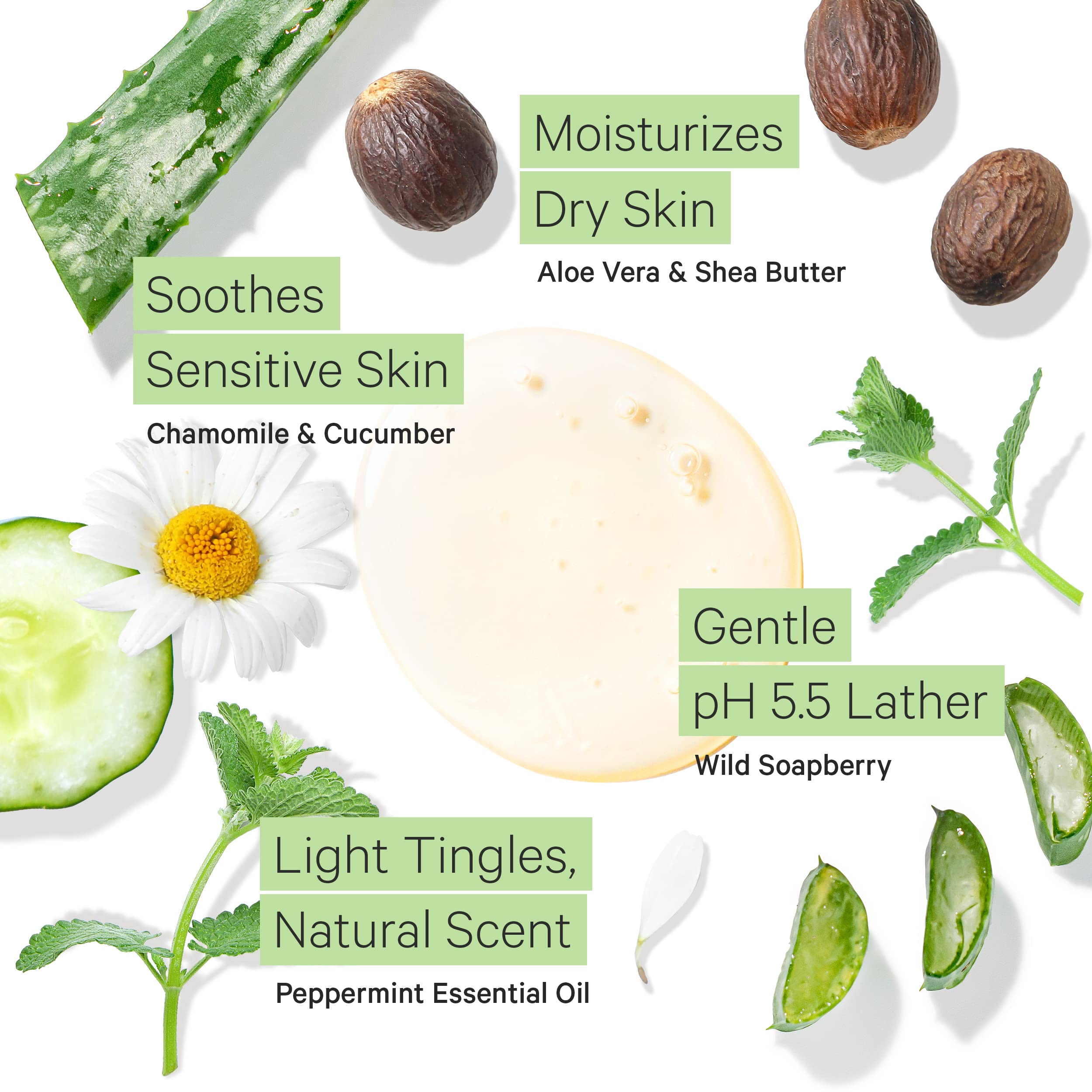 Tree to Tub gel douche menthe emballage ecologique, choix durable et responsable.