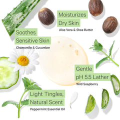 Tree to Tub gel douche menthe emballage ecologique, choix durable et responsable.
