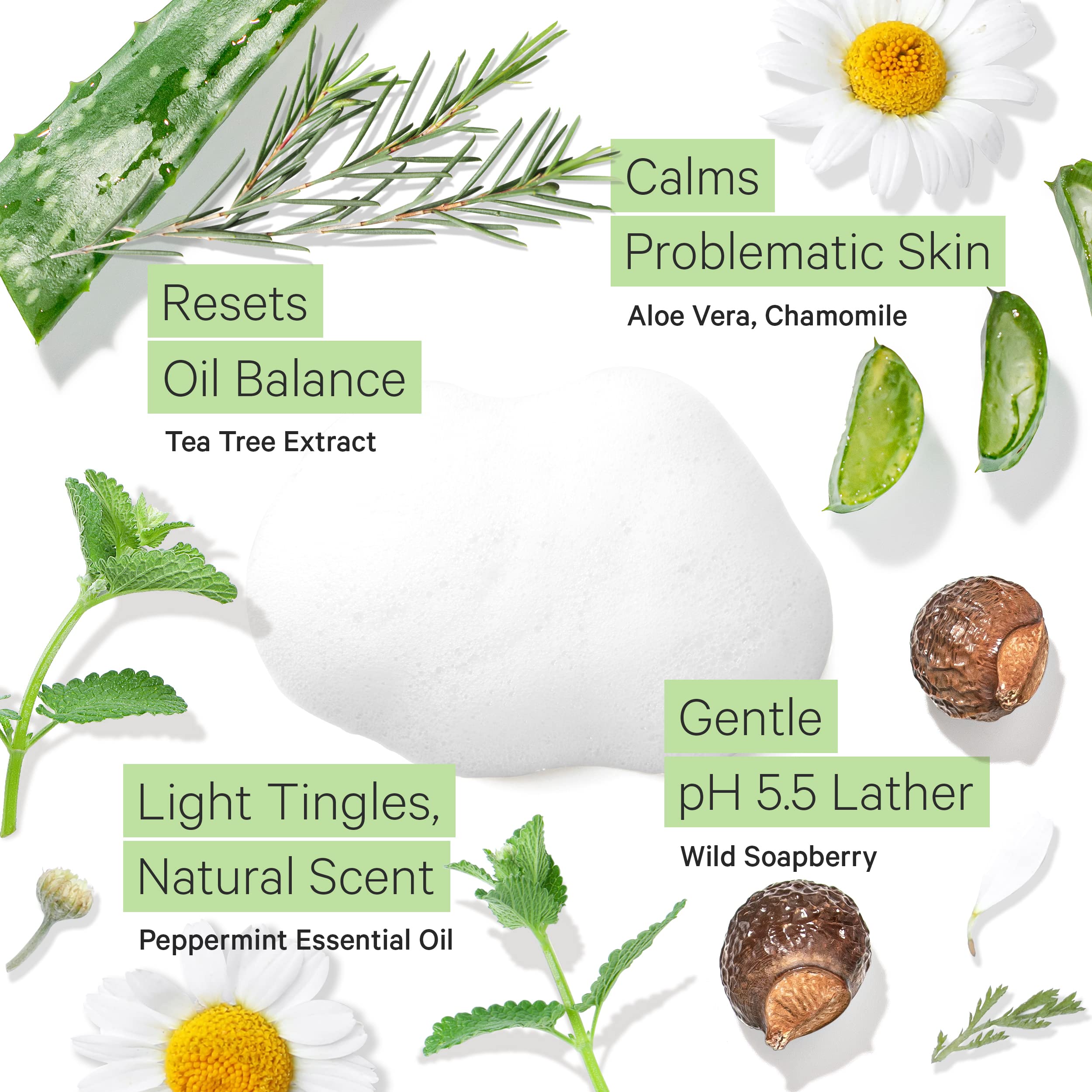 Tree to Tub nettoyant visage sensible — extrait d’arbre à savon pour douceur naturelle.