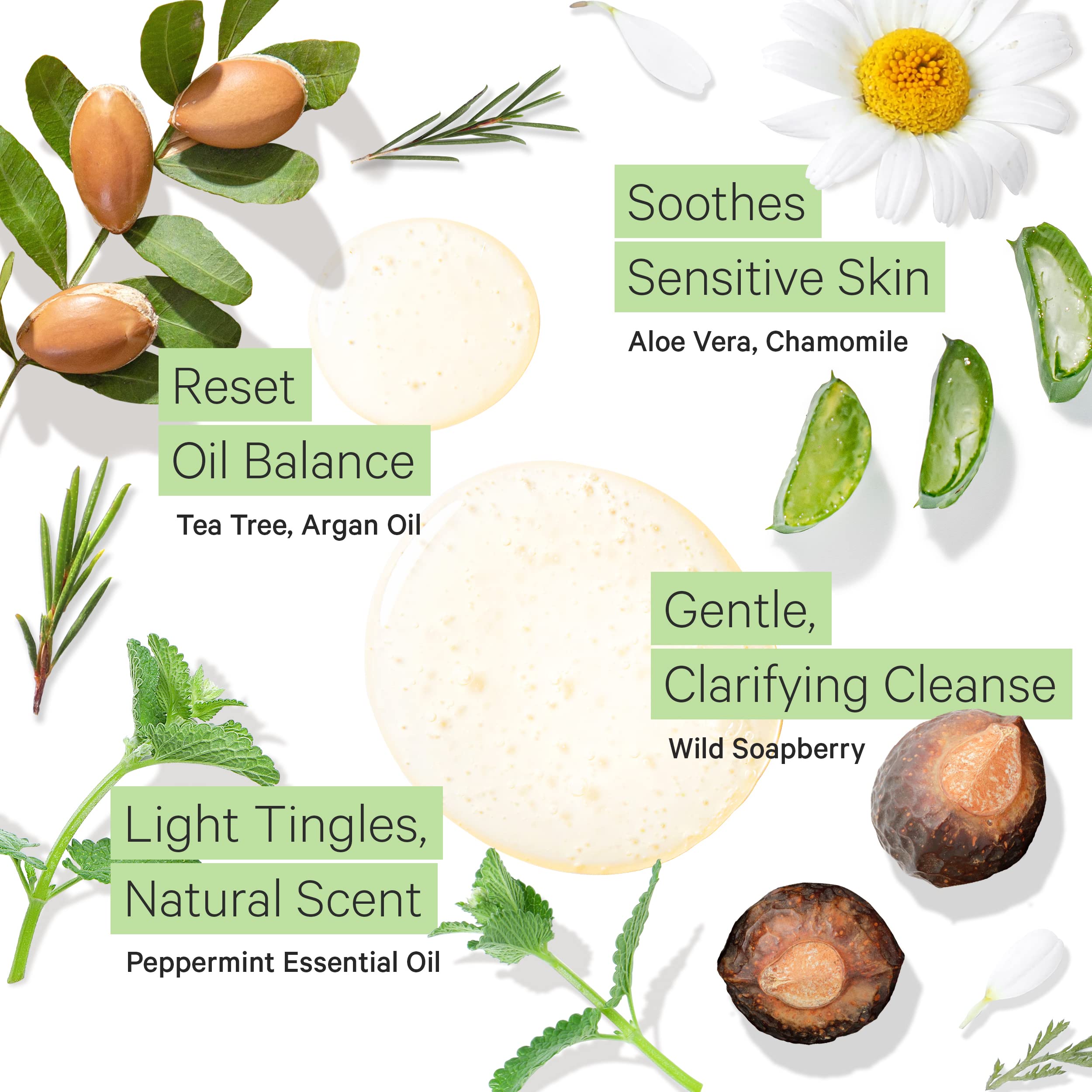 Tree to Tub Peppermint Shampoo, huile d'argan, hydratation légère sans alourdir.