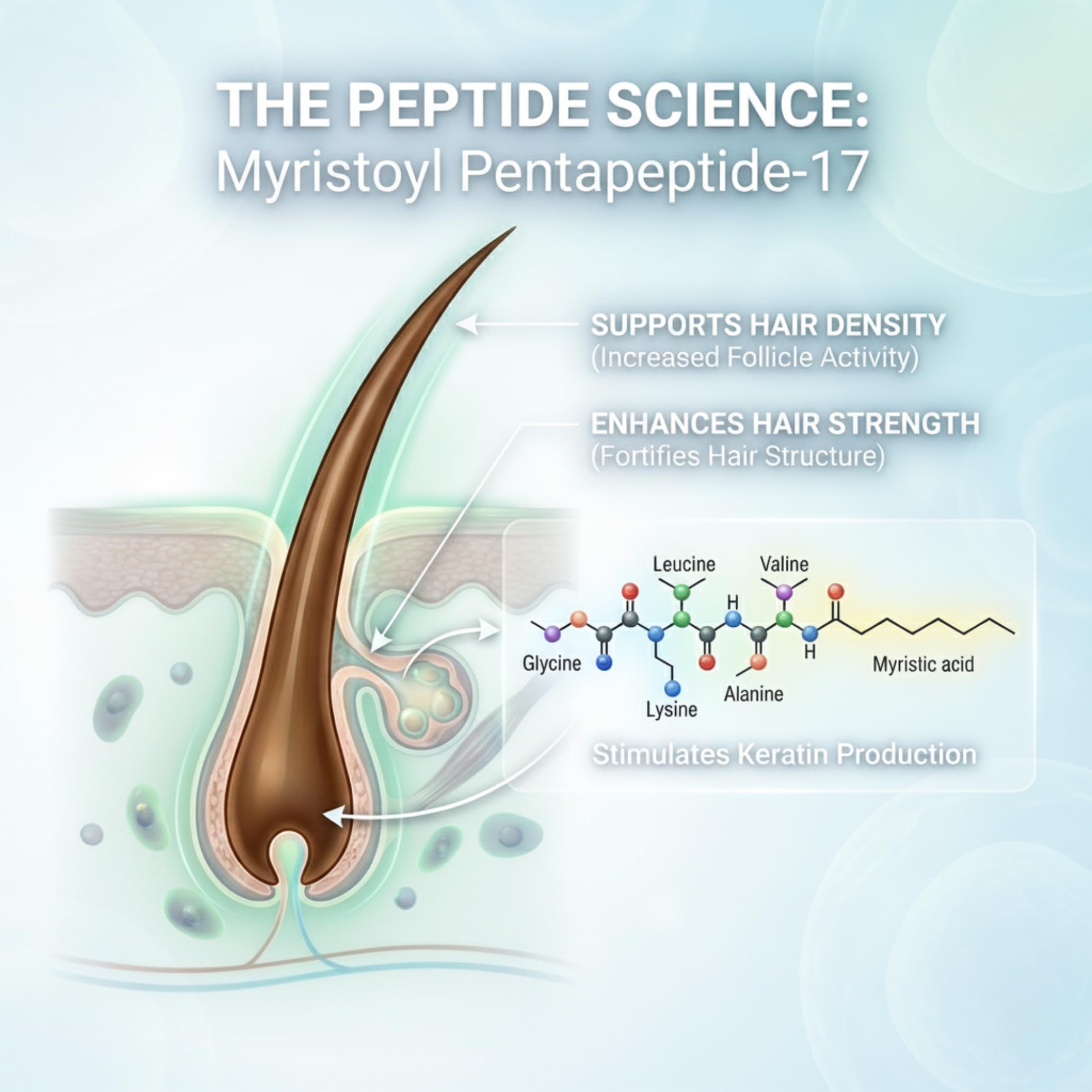 Tricholoy+ densité-peptides fortifiant les mèches et réduisant la casse.