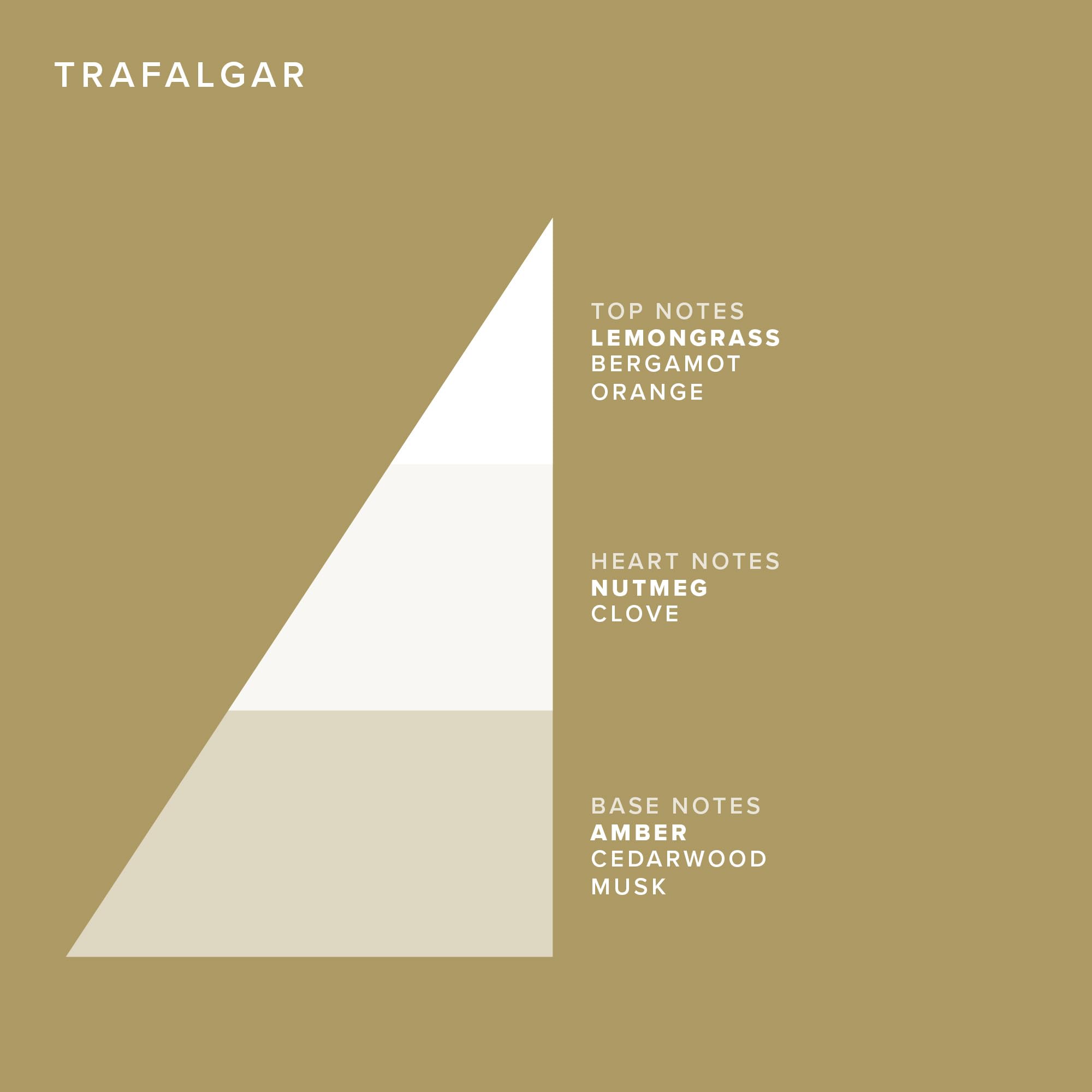 Truefitt et Hill Trafalgar rituel raffiné, adapté aux amateurs du style classique.
