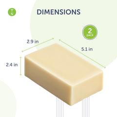Ingrédients végétaux et arômes menthe eucalyptus utilisés par Truremedy Naturals.