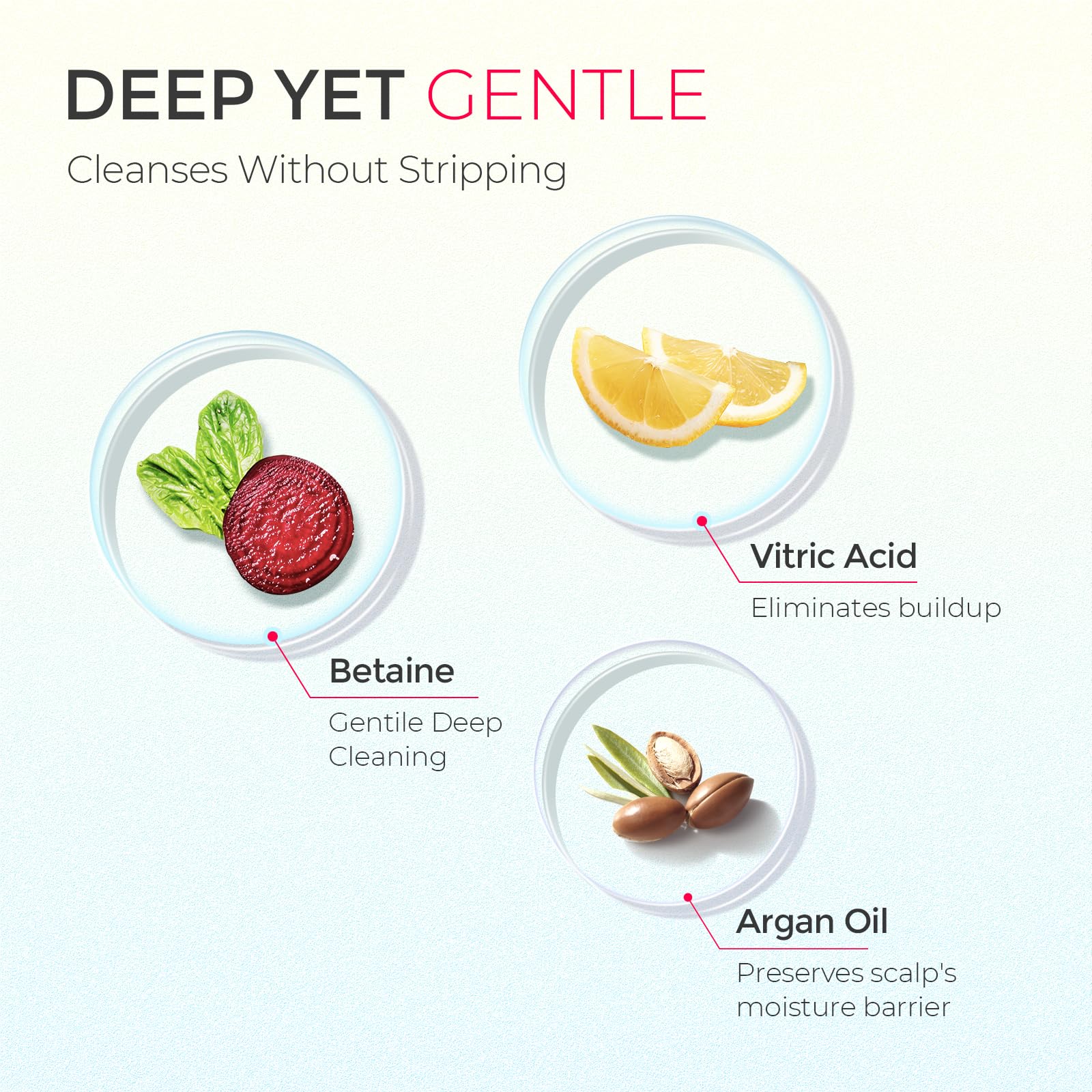 TYMO shampoing clarifiant avec huile d argan nourrissante pour cheveux