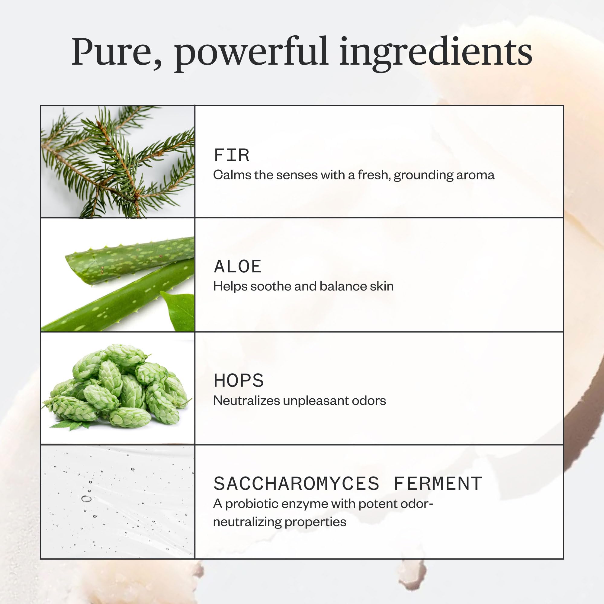 Ursa Major Forest Fix aluminum-free formula delivers a dry feel and non-staining results.