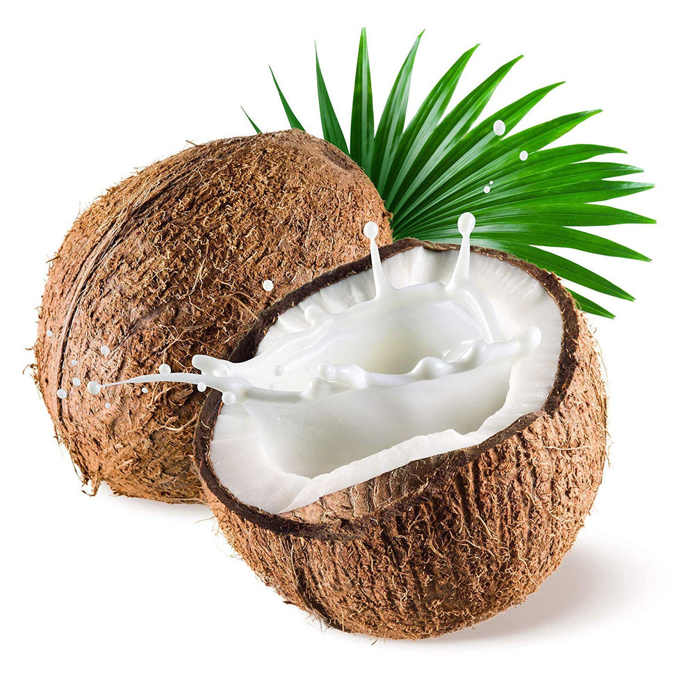 US Organic Huile MCT coco fractionnee — soin cheveux nourrissant.