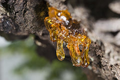 Résine d’encens Boswellia serrata de US Organic pour aromathérapie douce.