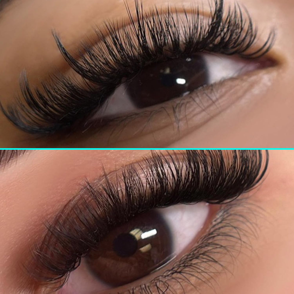 VAVALASH Cashmere Easy Fan Lashes plateau de 12 rangées, stockage pro