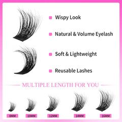 VEYESBEAUTY pose rapide avec 4–6 clusters par œil pour débutants.