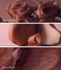 Emballage Bare Rose avec boîte élégante pour cadeau ou déballage