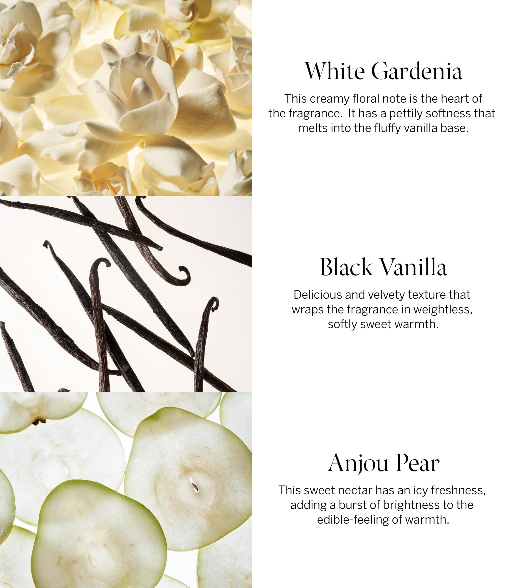Notes olfactives Gardenia blanche et Poire d'Anjou dans Victoria's Secret Tease Lotion.