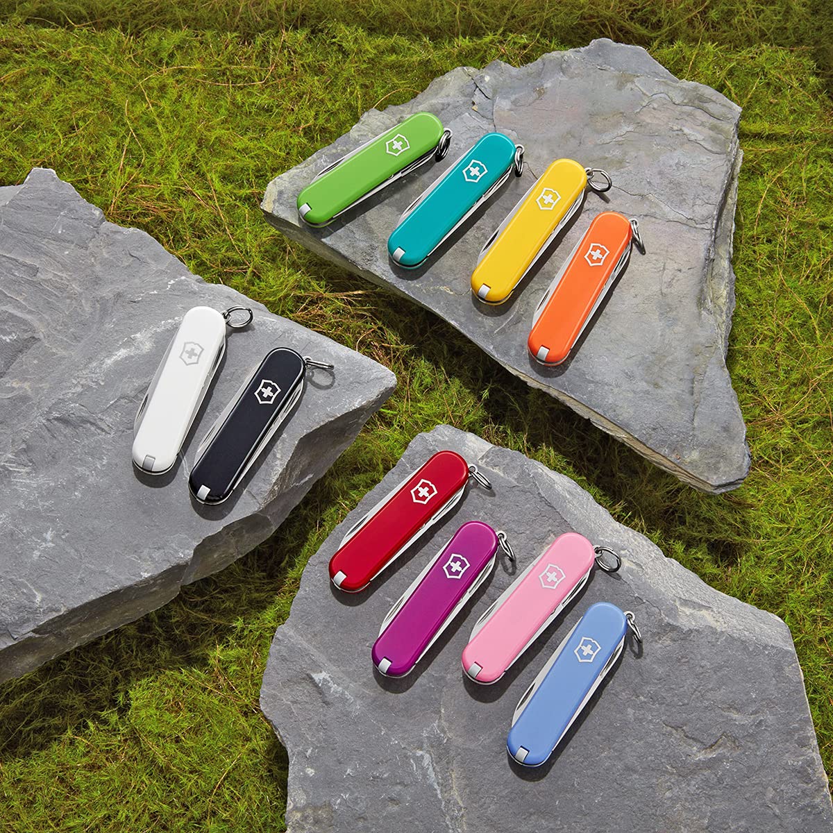 Pinces à épiler Victorinox en acier inoxydable de haute qualité, durables.