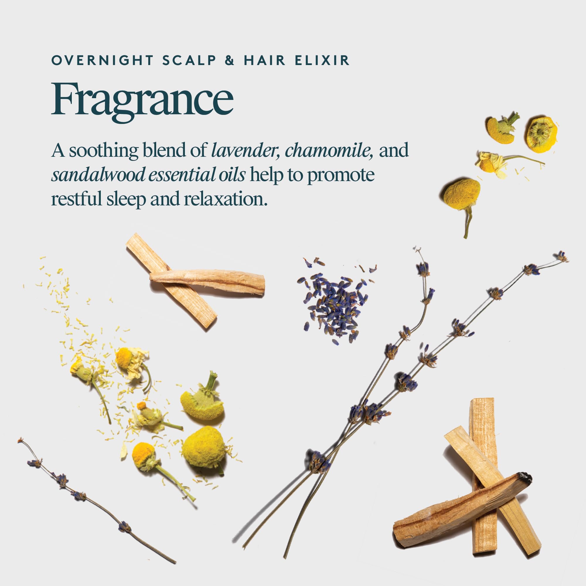 VIRTUE Correct Elixir nocturne – infusion d’alpha-keratine et peptides pour les fibres capillaires.