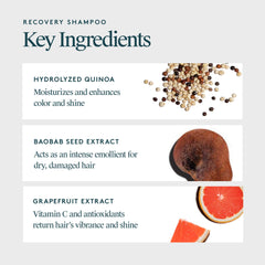 Étiquette du VIRTUE Recovery Shampoo sur l'emballage design premium