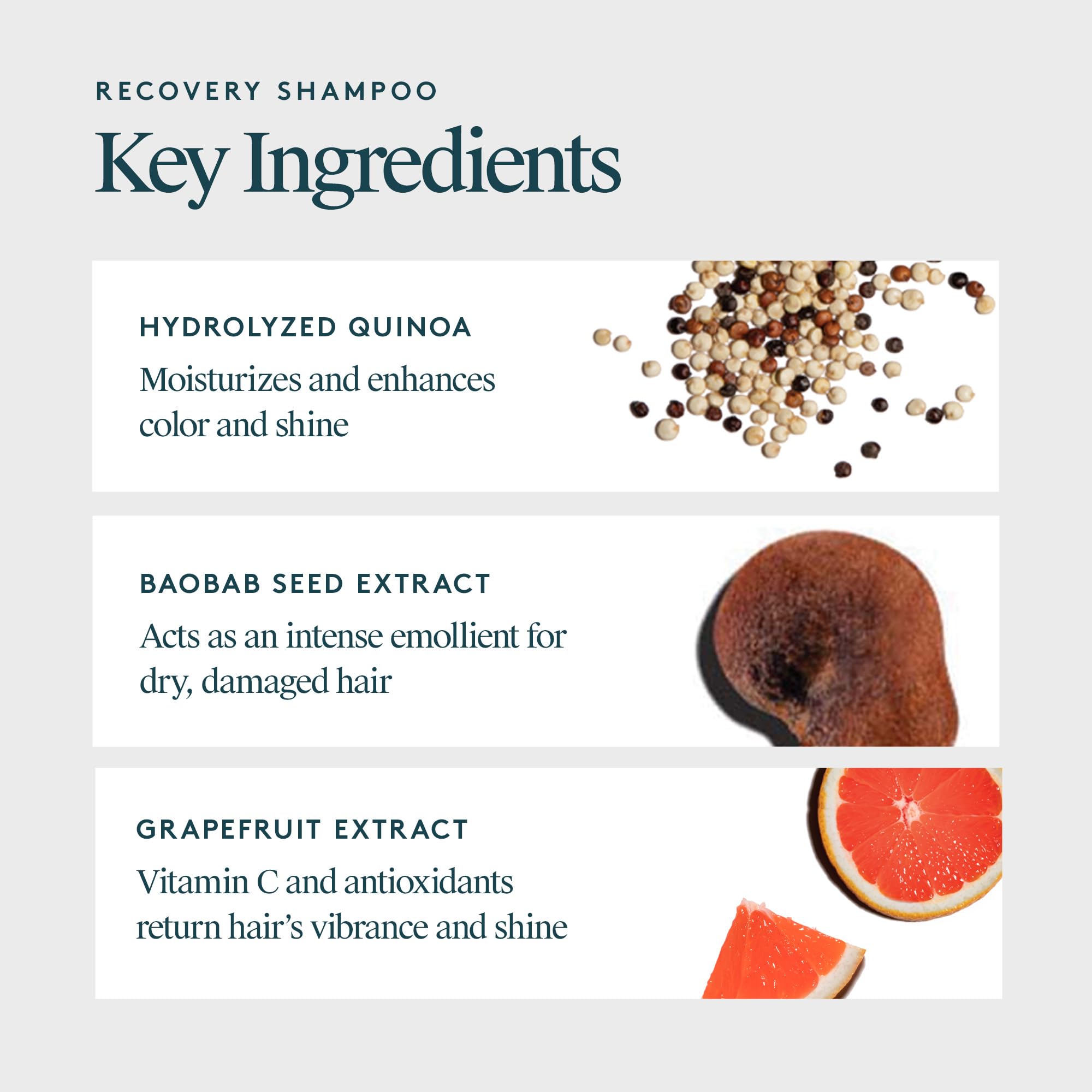 Virtue Recovery Shampoo – flacon mis en évidence, pratique pour usage quotidien.