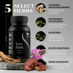 Vita Green VitaHair racine de ginseng Changbai, ingrédient clé du produit.