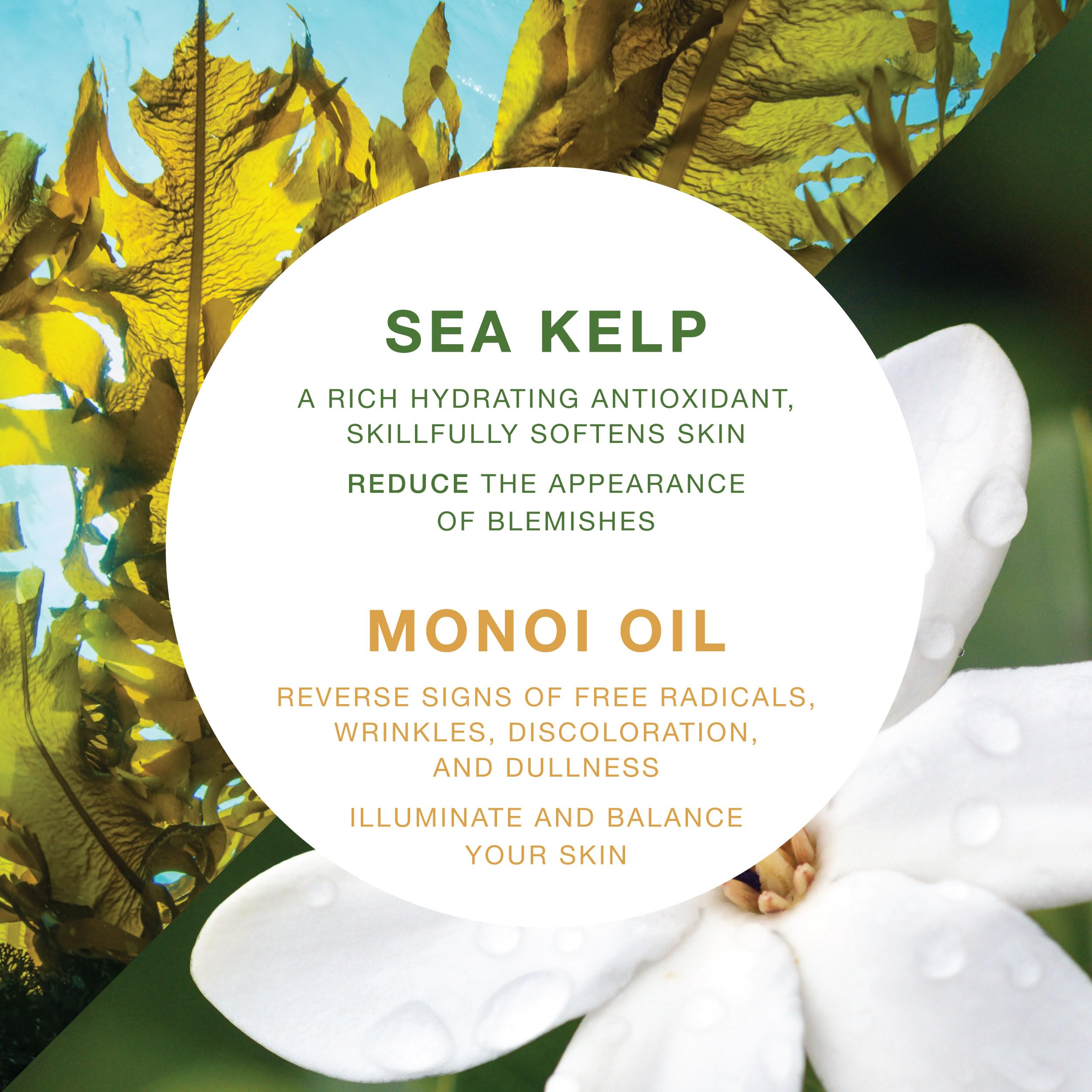 VITAMINS AND SEA BEAUTY atténuation des imperfections avec une utilisation régulière.