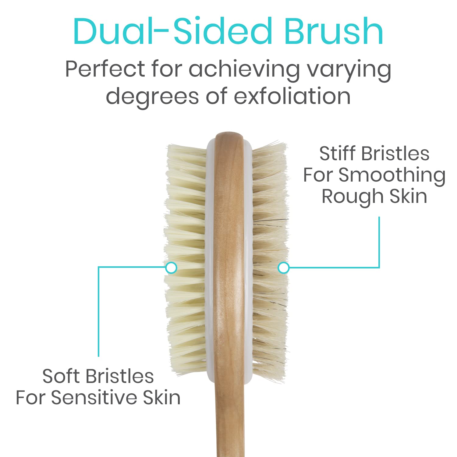 Brosse Vive corps poils sanglier rigides pour exfolier.