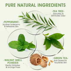 VOERUY Gommage Corps Tea Tree Menthe Avocat Aloe : exfoliation douce et peau satinée.