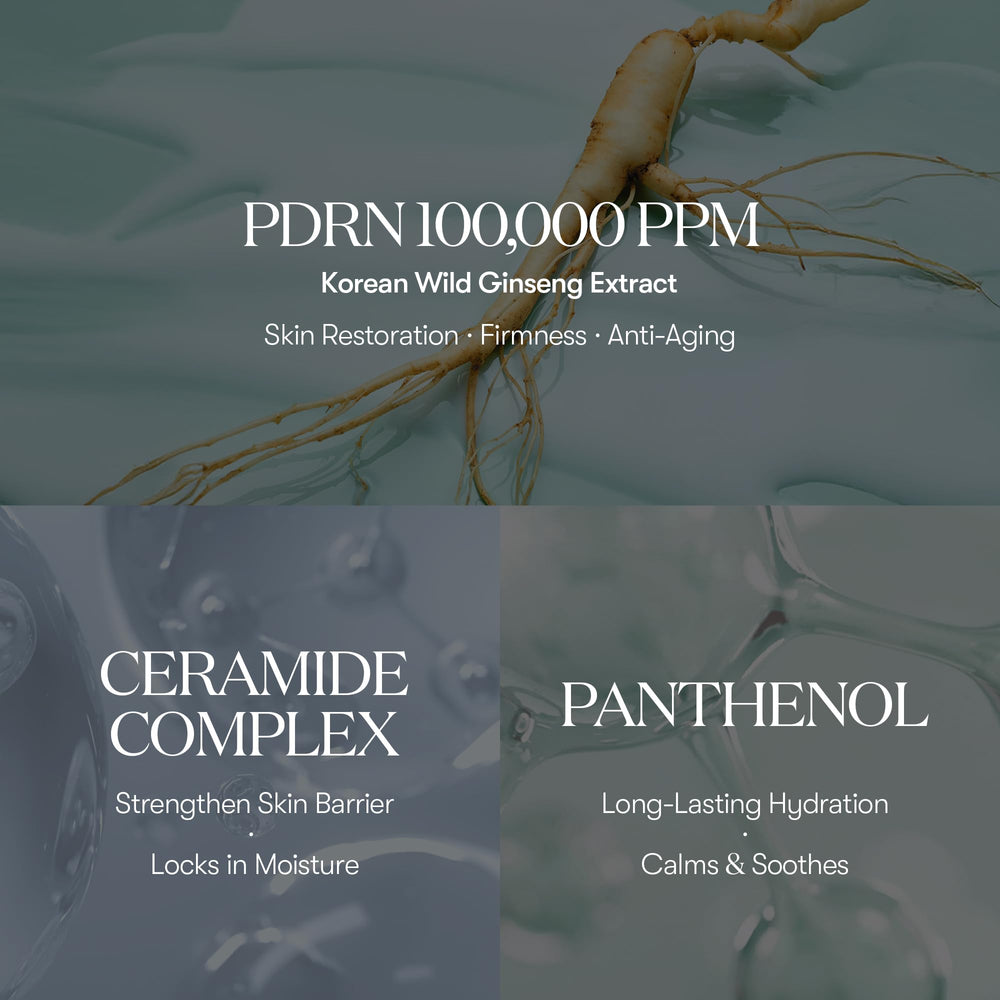 Sérum VT COSMETICS PDRN 100 – absorption rapide et hydratation durable.