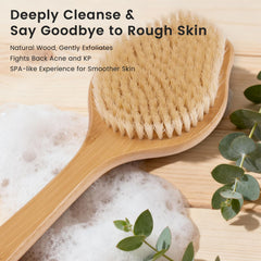 Poils naturels et bois durables, brosse VWMYQ pour un nettoyage en douceur.