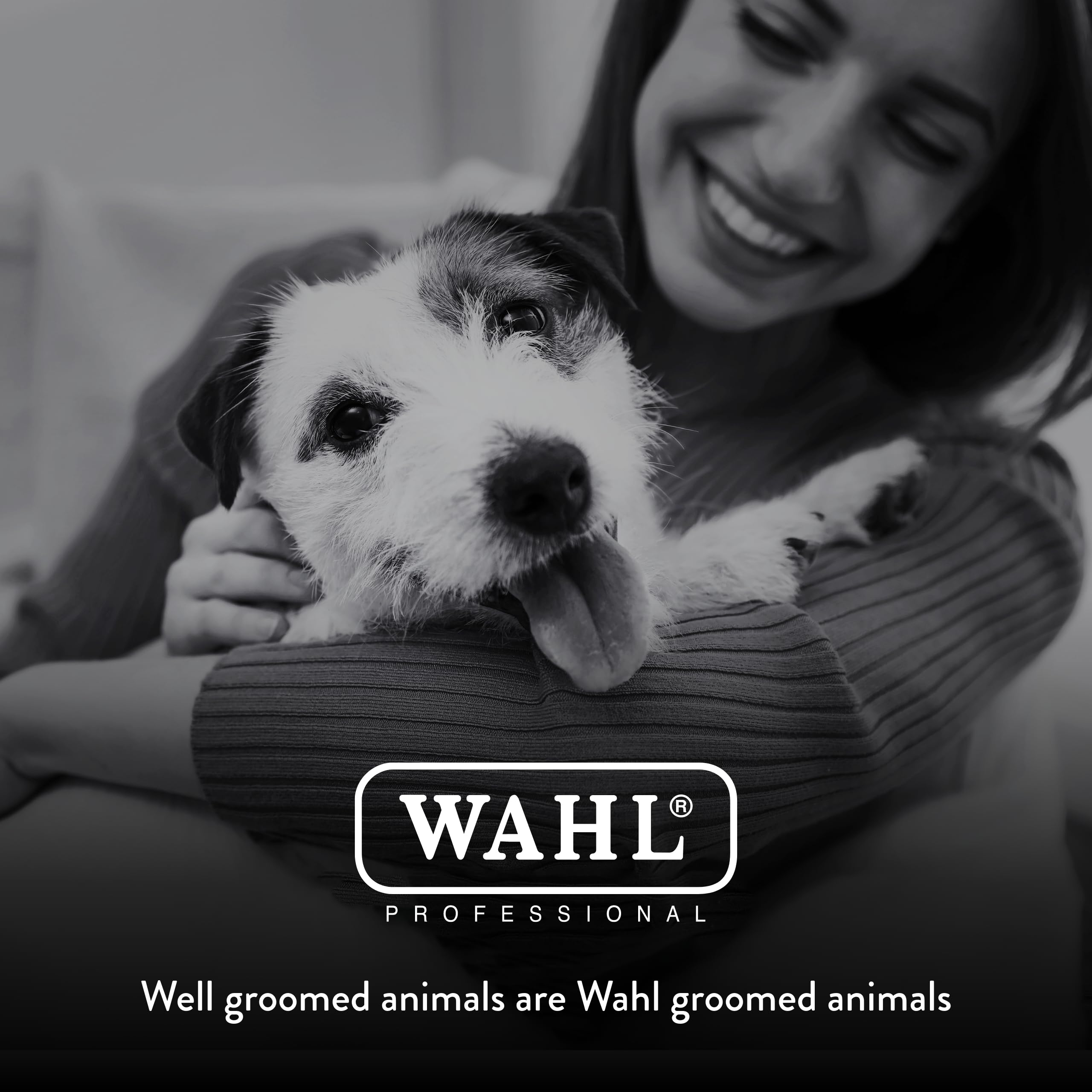 Huile pour lame Wahl Arco, entretien et performance durable.