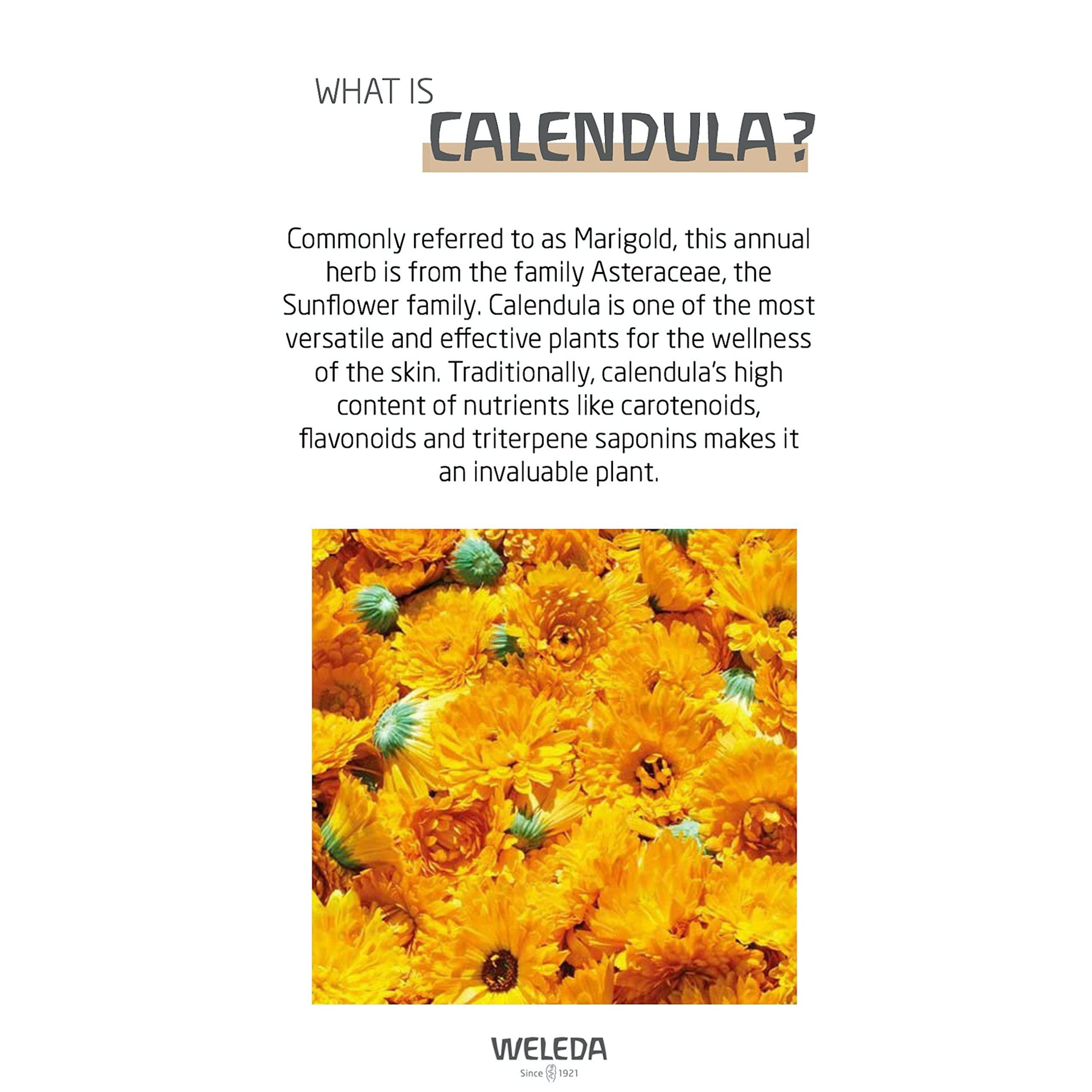 Weleda Bébé Calendula Crème Visage sans parfum synthétique et conservateurs