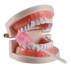 Wellgler longueur 12 cm tige buccale, accès facile au nettoyage.