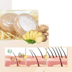 Barre shampooing gingembre WenFeng