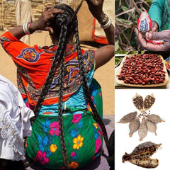 Ingrédients clés comme Croton, Akpi et romarin pour éveiller le cuir chevelu.