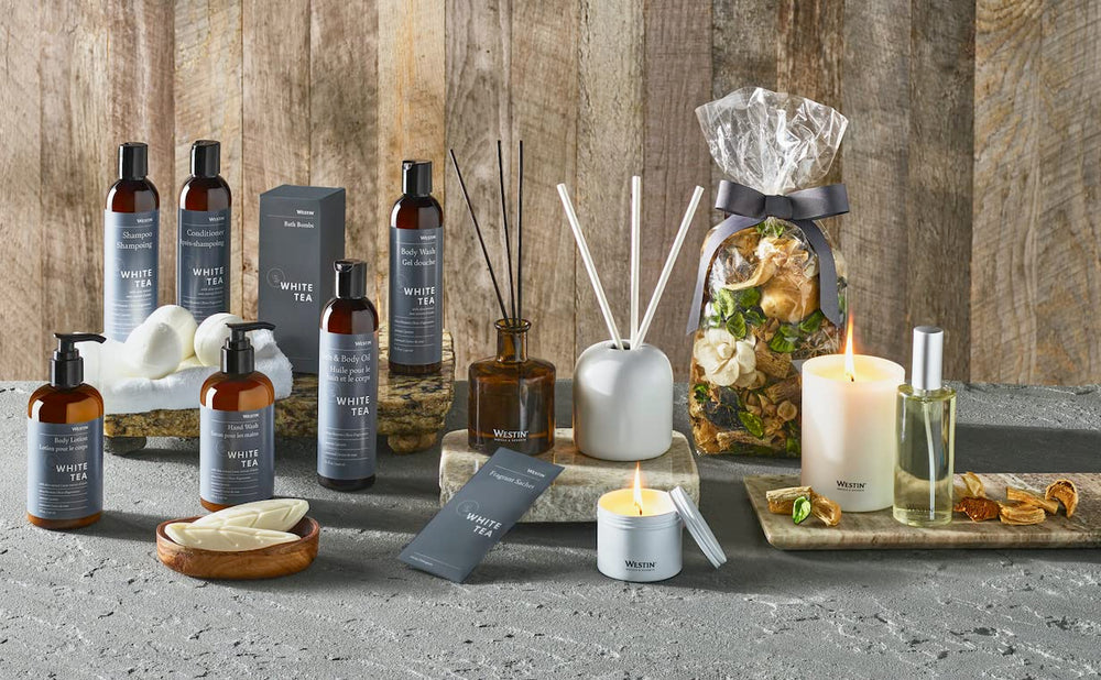 Westin Conseils d'utilisation: routine quotidienne optimale pour cheveux normaux.