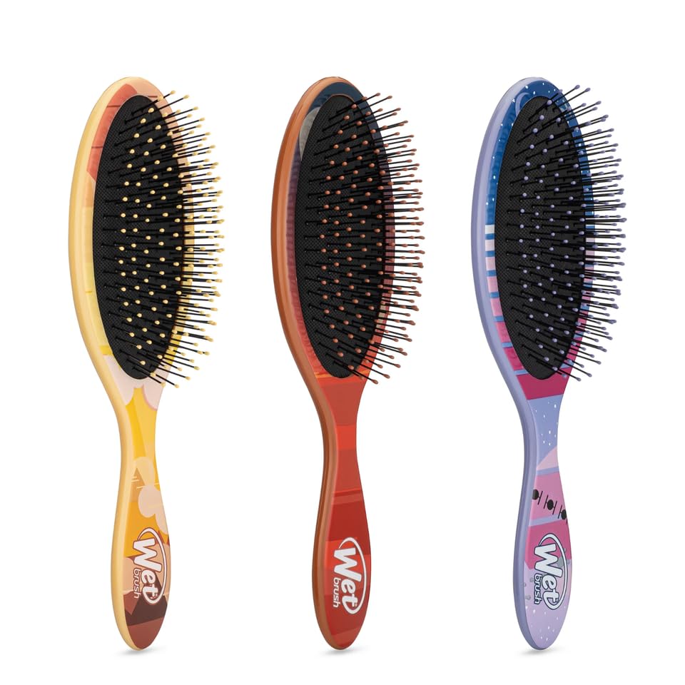 Wet Brush Detangler Usage sur cheveux secs sans douleur