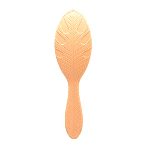 Wet Brush Go Green les brins Intelliflex démêlent sans tiraillement