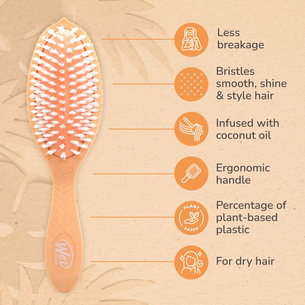 Wet Brush Go Green démêle sans douleur sur cheveux secs